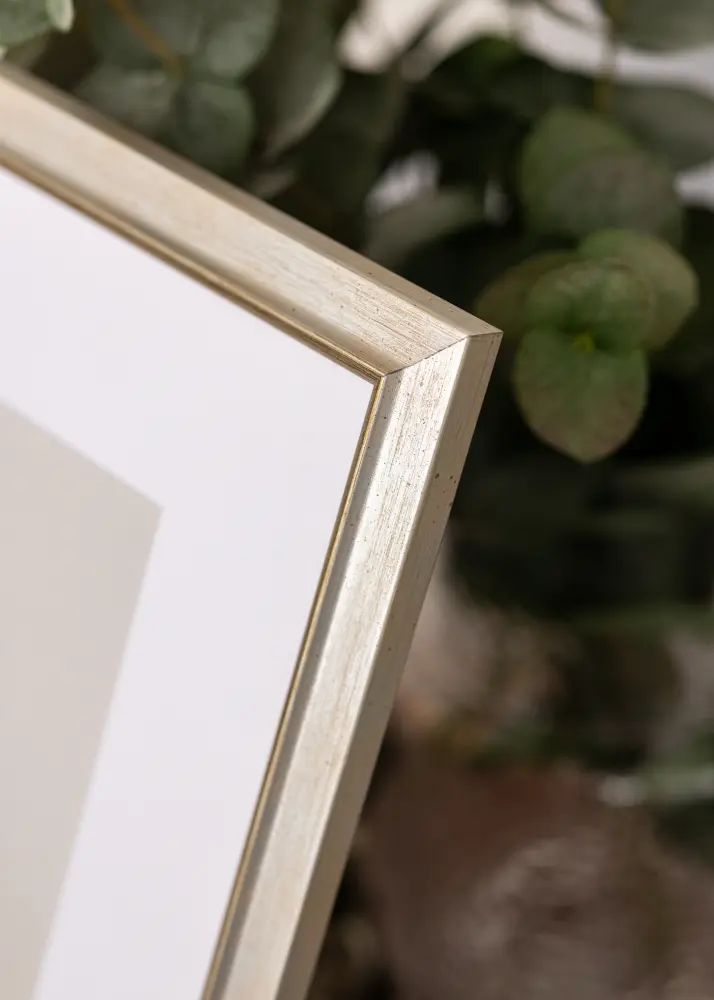 Rám Marisa Akrylglas Strieborný 59,4x84,1 cm (A1)