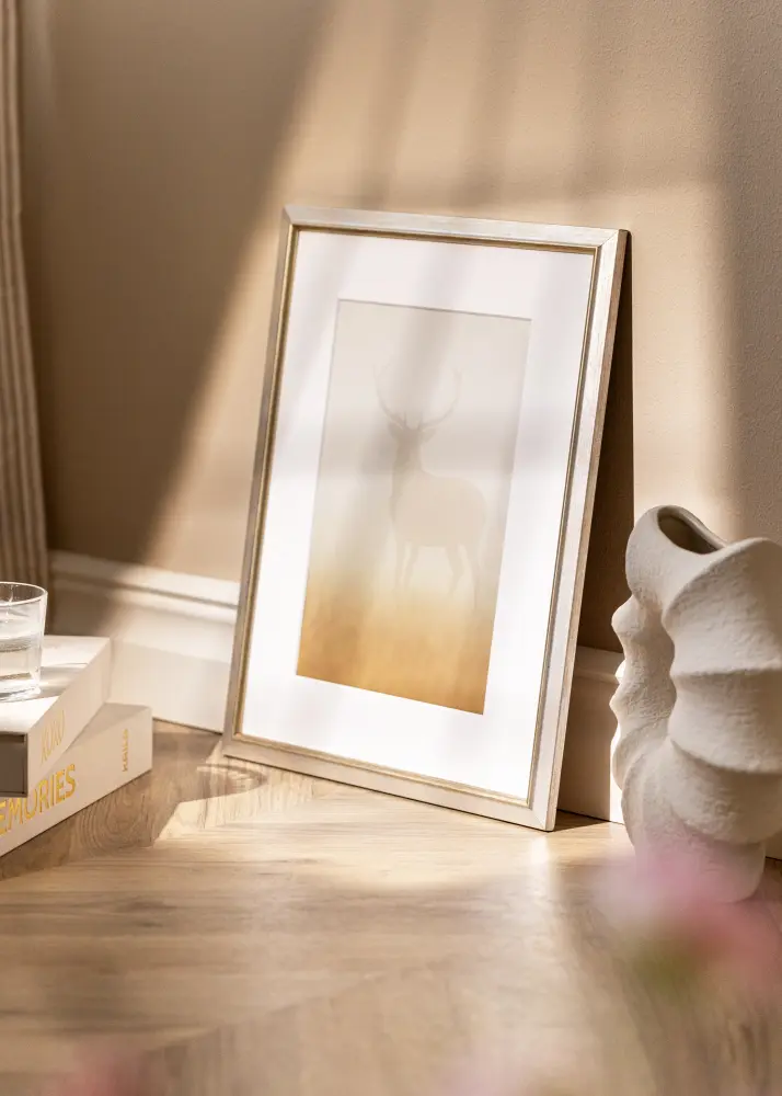 Rám Marisa Akrylglas Strieborný 59,4x84,1 cm (A1)