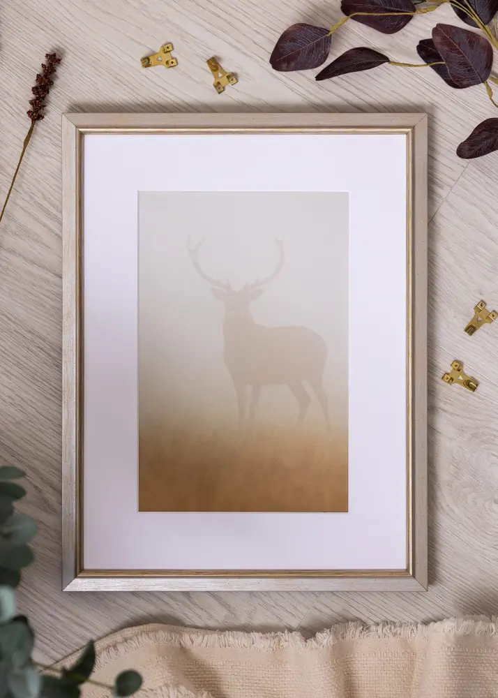 Rám Marisa Akrylglas Strieborný 59,4x84,1 cm (A1)