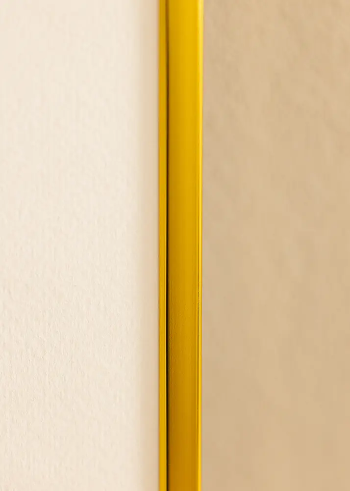 Hliníkový rám Akrylové sklo (Plexisklo) Zlatá 61x91,5 cm