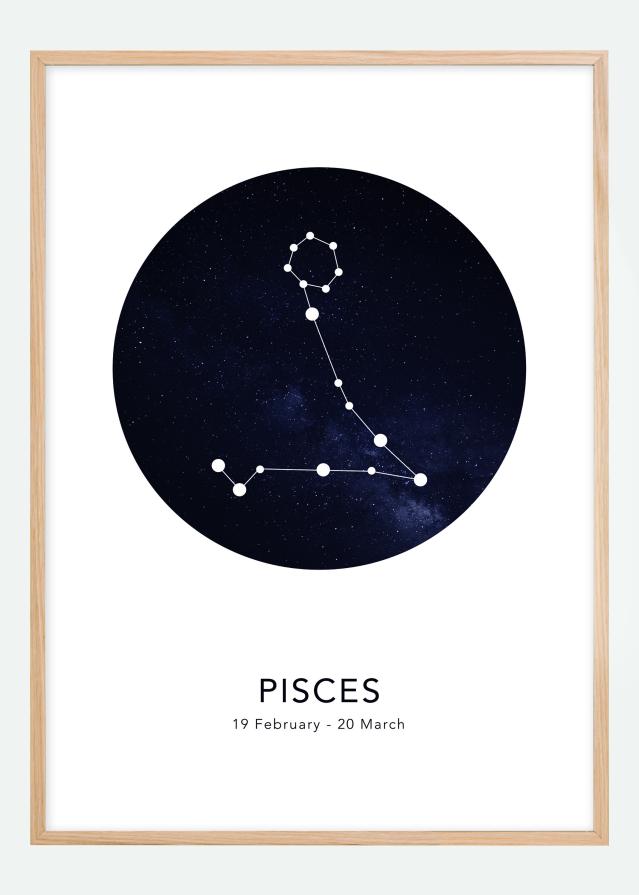 Pisces Plagát