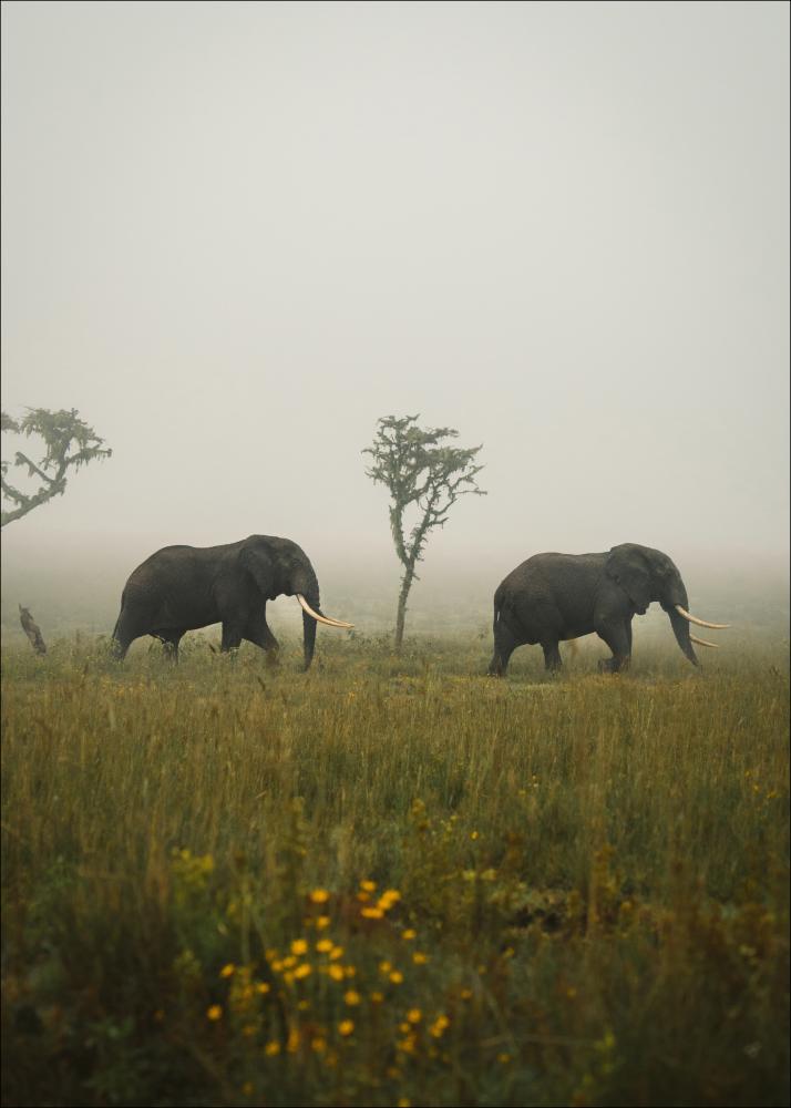 Elephant Walk Plagát