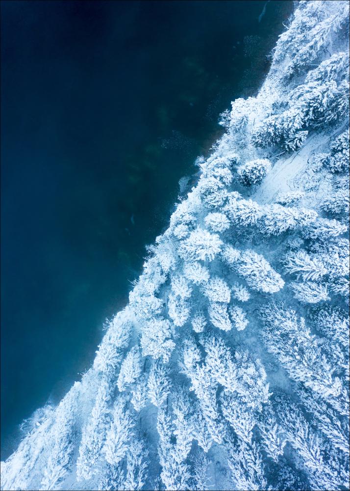 Frosty Forest Plagát