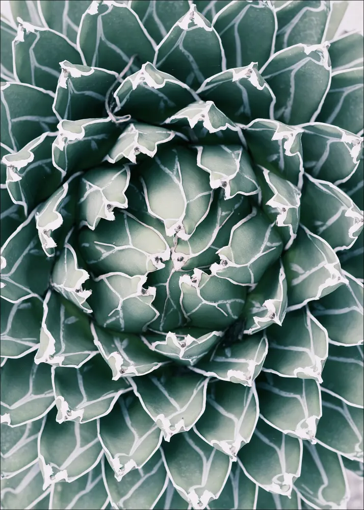 Plant Plagát
