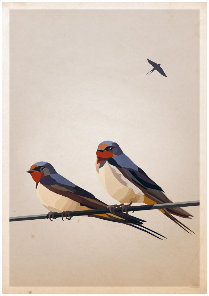 Swallows Plagát