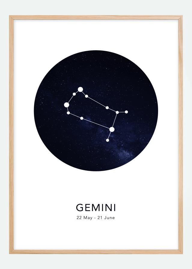 Gemini Plagát