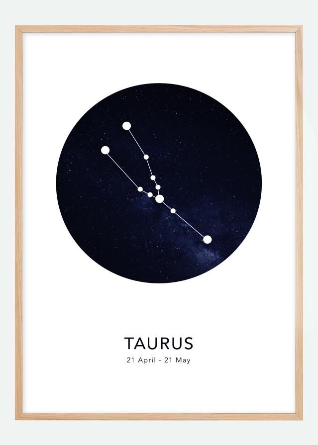 Taurus Plagát