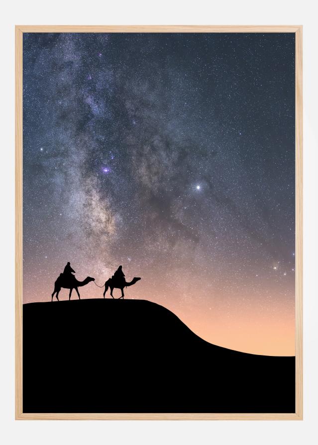 Camels Under The Stars Plagát