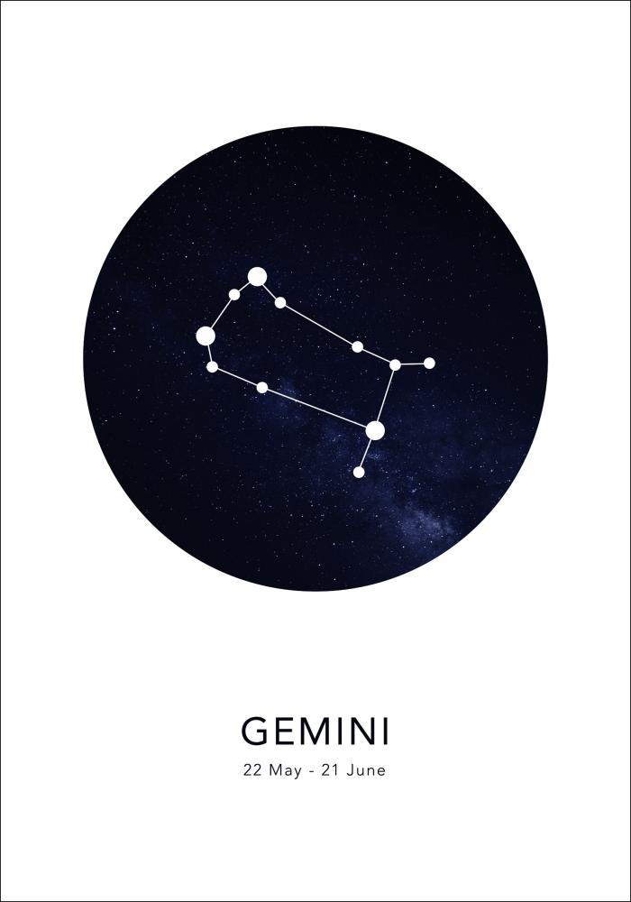 Gemini Plagát