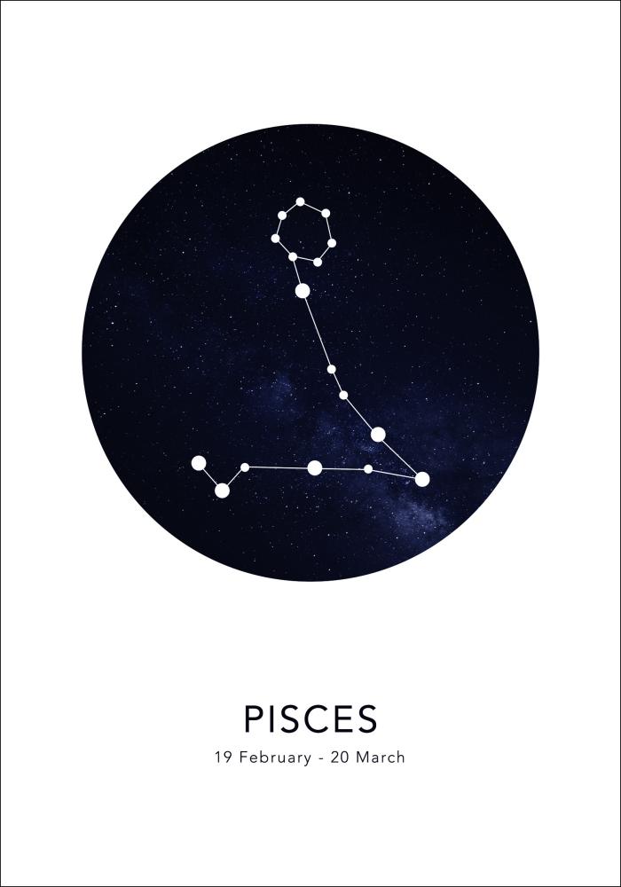 Pisces Plagát