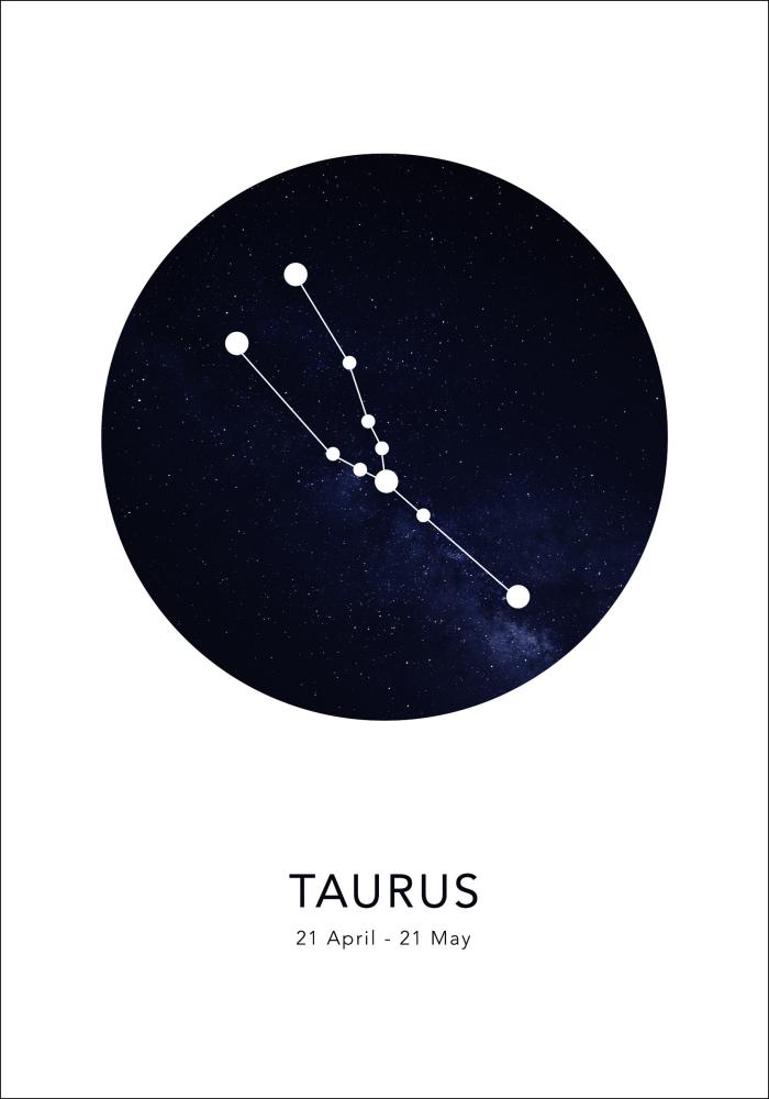 Taurus Plagát