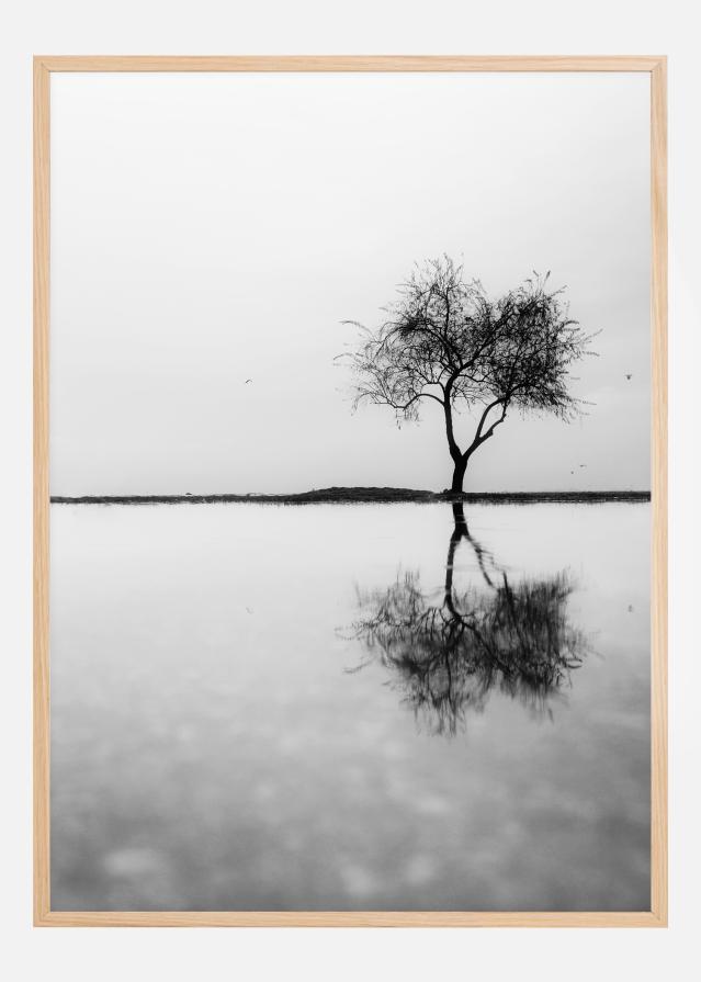 Lonely Tree Reflection Plagát