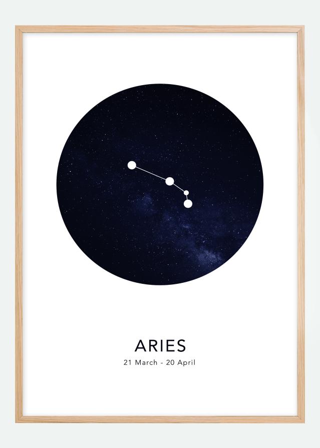 Aries Plagát