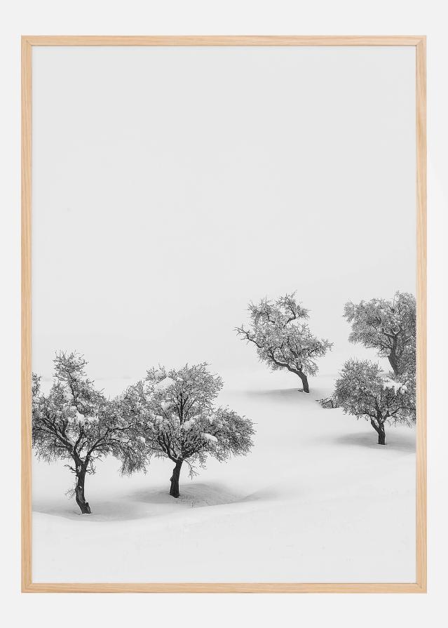 White Carpet Plagát