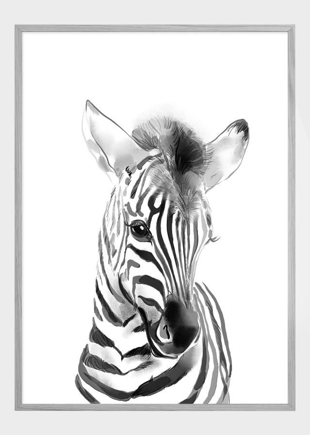 Zebra Watercolor Plagát