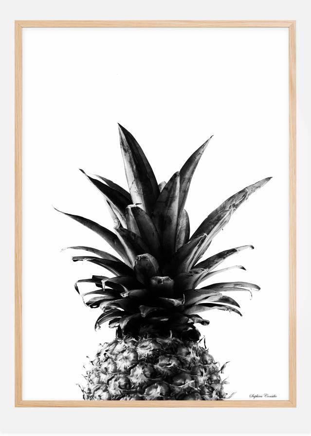 Pineapple B&W Plagát