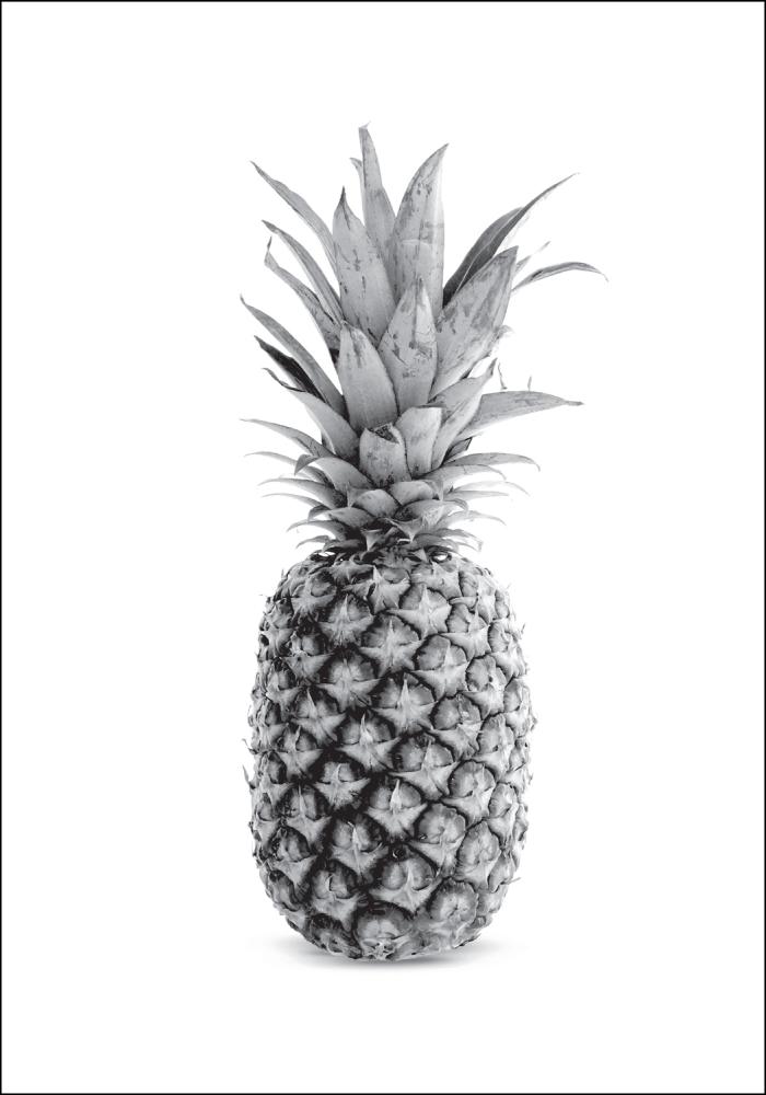 Pineapple Grey Plagát