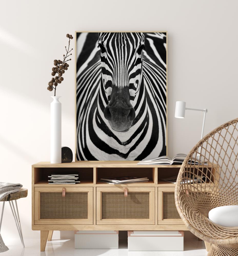 Zebra Plagát