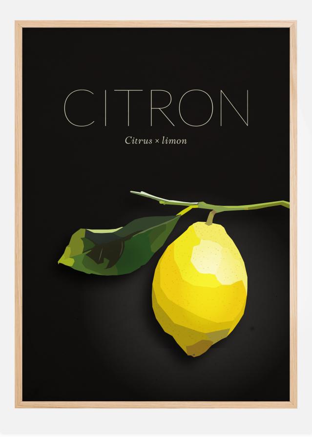 Citron Plagát