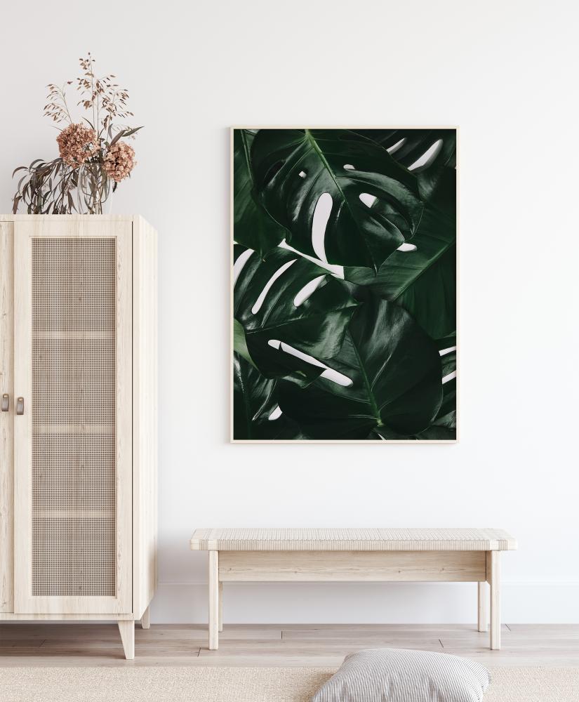 Monstera Plant I Plagát