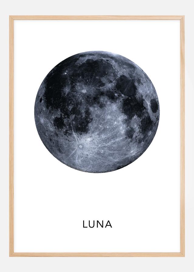 Luna Plagát