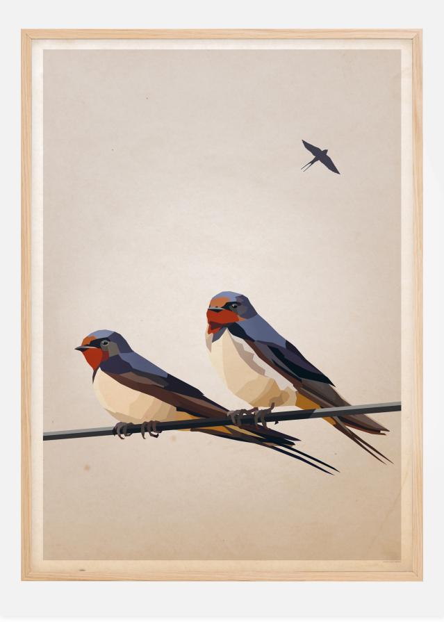 Swallows Plagát