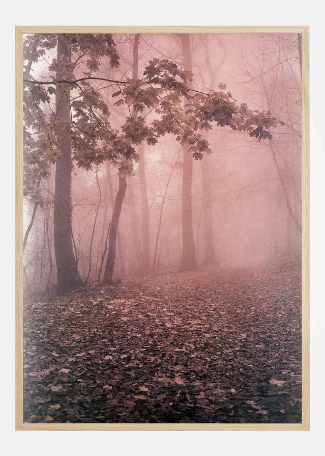 Pink Forrest Plagát