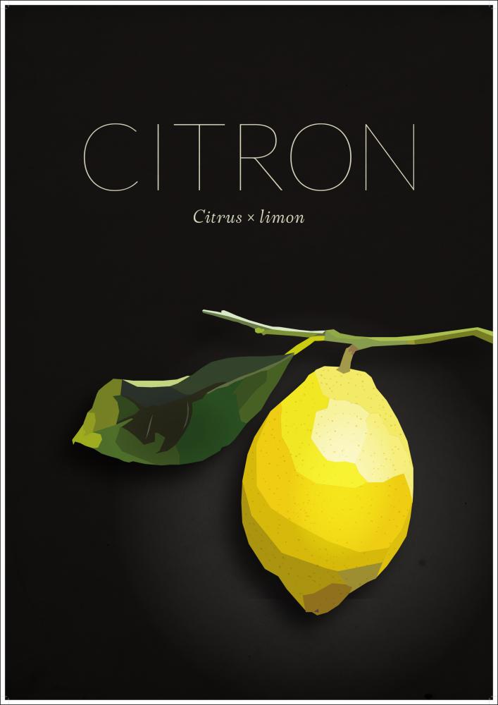 Citron Plagát