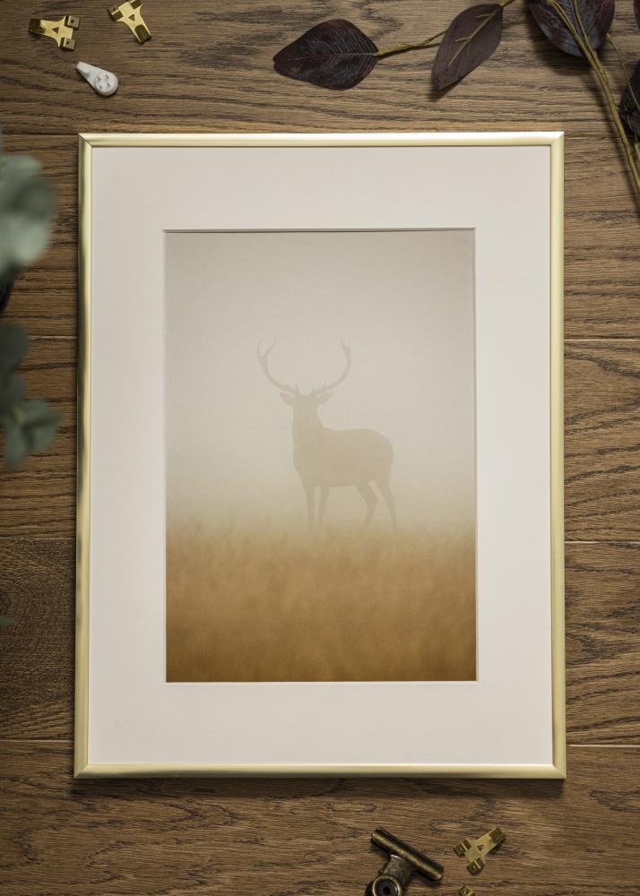 Rám Plagát Frame Aluminum Gold 10x15 cm