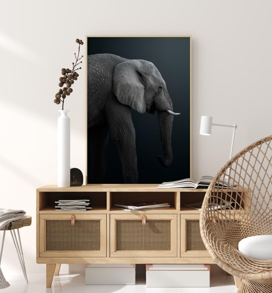 Namibian Elephant Plagát