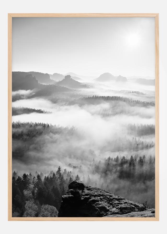 Foggy Forest Black & White I - 50x70 cm Plagát