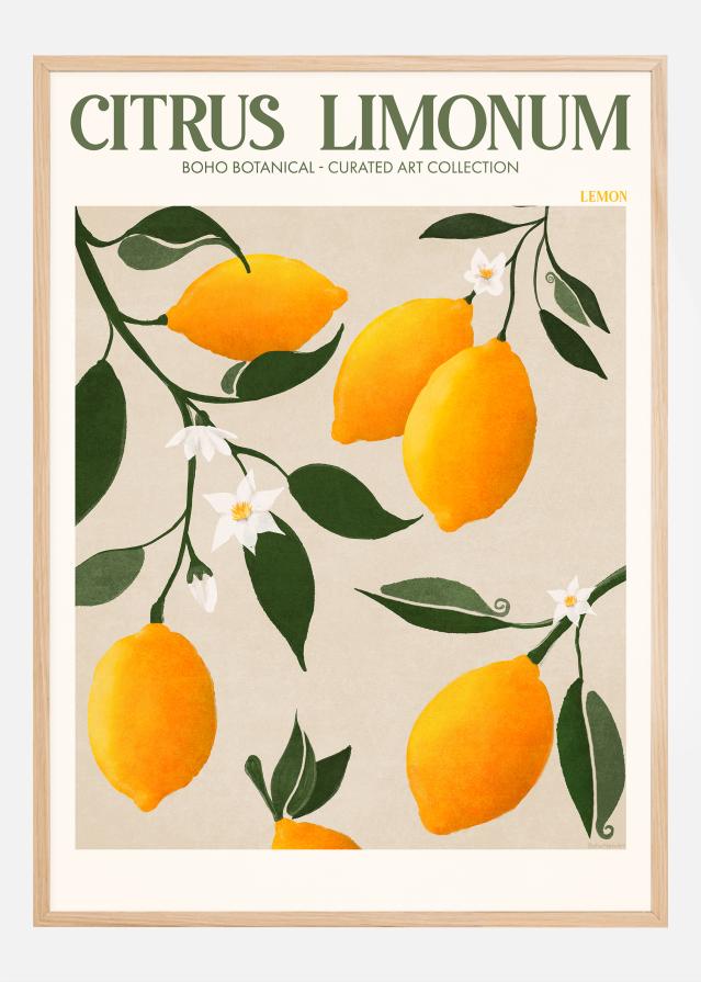 Boho Citrus Limonum Plagát