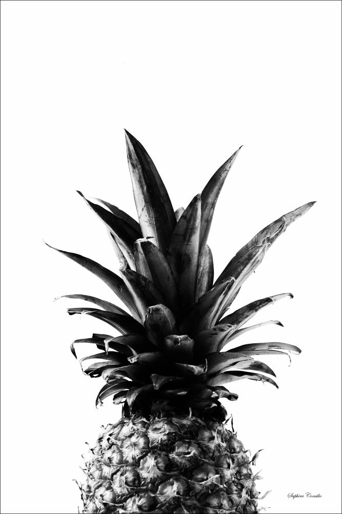 Pineapple B&W Plagát