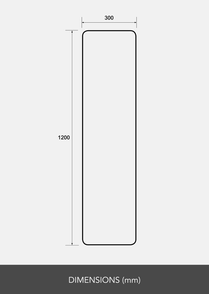 Zrkadlo Rectangle L 30x120 cm