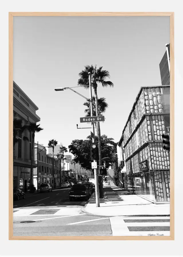Rodeo drive Plagát