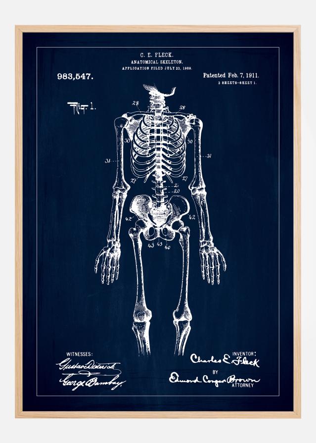 Motív patentov - Anatomický kostra v - Modrá farba Plagát