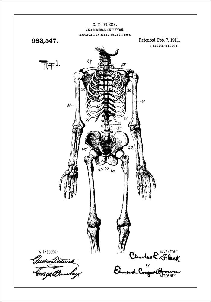 Motív patentov - Anatomický kostra v Plagát