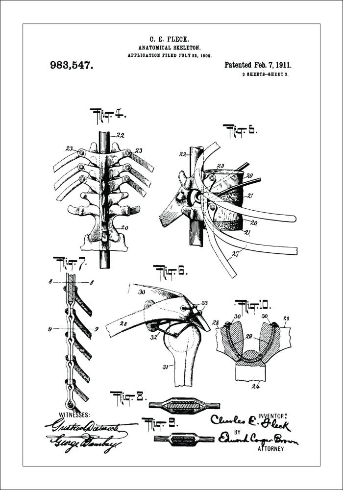 Motív patentov - Anatomický kostra III Plagát