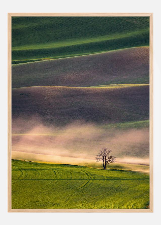 Sunset in Palouse Plagát